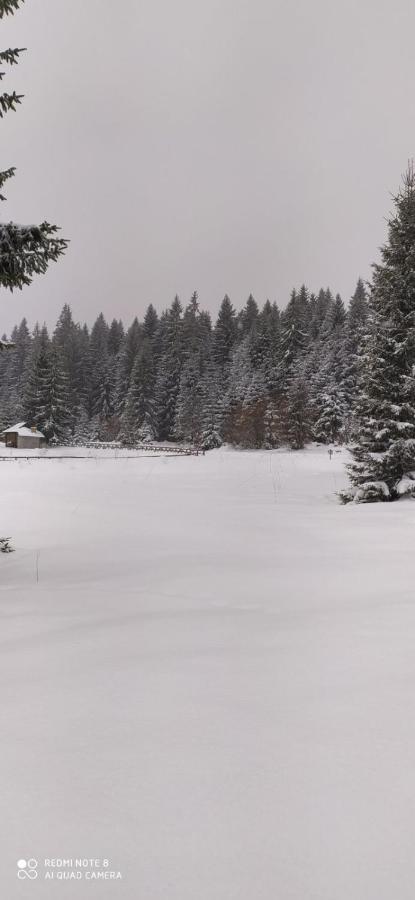Vila Balerina Mitrovac Buitenkant foto